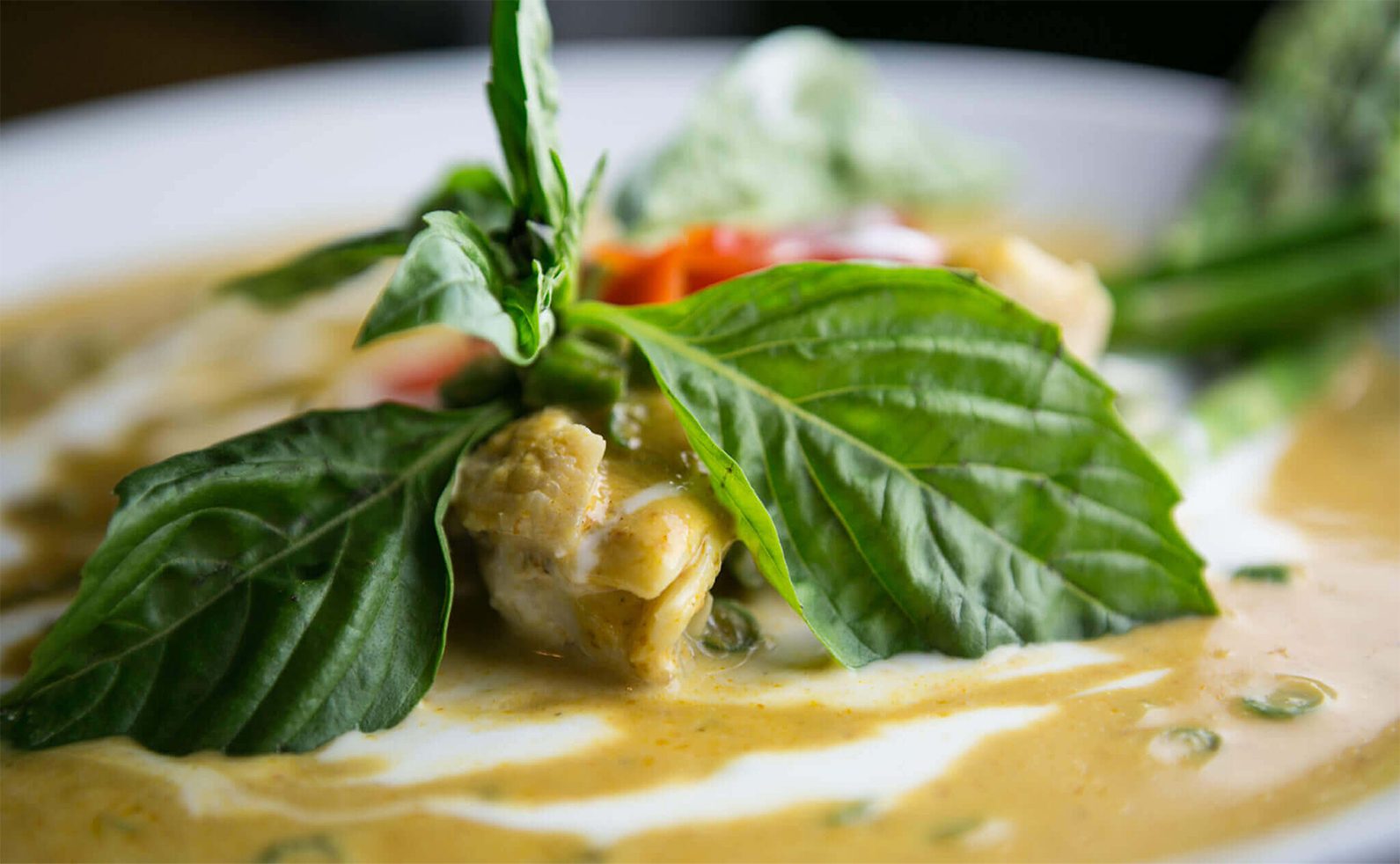 Thai Ginger banner