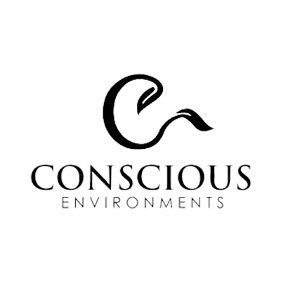 Conscious Environments